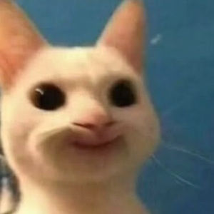 Meet your Posher, Sebastian